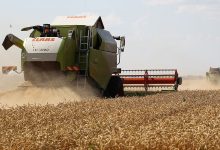Фото - Глава Минсельхоза Патрушев: в 2022 году Россия соберет рекордный урожай зерна