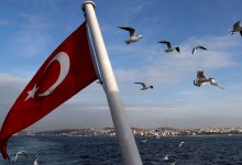 Фото - РИА Новости: Турция на всех уровнях ведет «телефонную дипломатию» по зерновой сделке