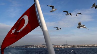 Фото - РИА Новости: Турция на всех уровнях ведет «телефонную дипломатию» по зерновой сделке