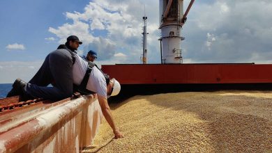 Фото - Во Франции объявили о работе над наземным маршрутом вывоза зерна c Украины